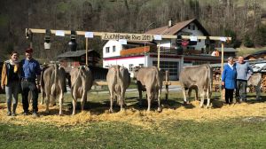 B68_Ambros Arnold_RIVA CH 120.0763.6829.2 DENVER-ET 5